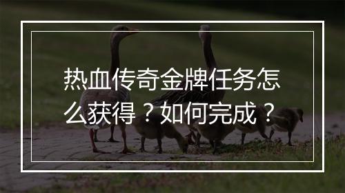 热血传奇金牌任务怎么获得？如何完成？