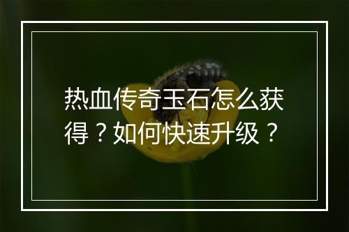 热血传奇玉石怎么获得？如何快速升级？