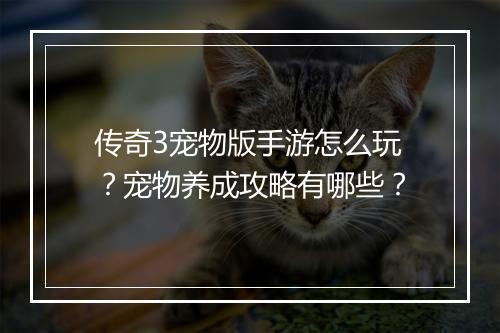 传奇3宠物版手游怎么玩？宠物养成攻略有哪些？