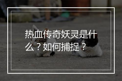 热血传奇妖灵是什么？如何捕捉？