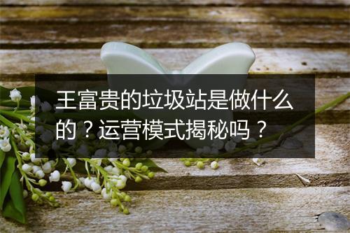 王富贵的垃圾站是做什么的？运营模式揭秘吗？