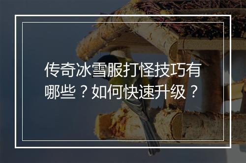 传奇冰雪服打怪技巧有哪些？如何快速升级？