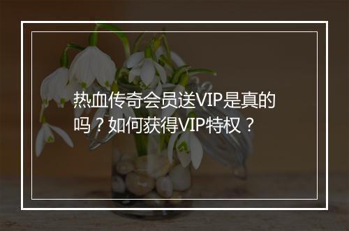 热血传奇会员送VIP是真的吗？如何获得VIP特权？