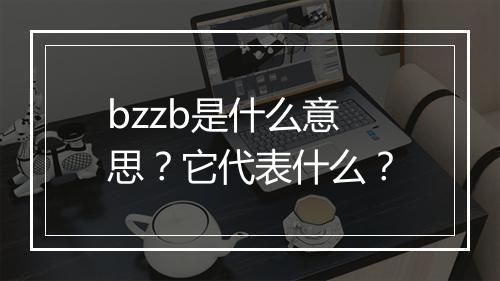 bzzb是什么意思？它代表什么？