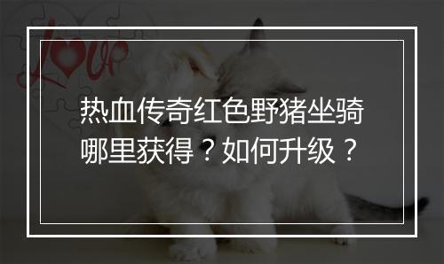 热血传奇红色野猪坐骑哪里获得？如何升级？