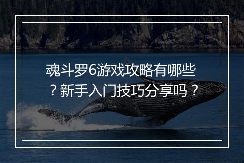 魂斗罗6游戏攻略有哪些？新手入门技巧分享吗？