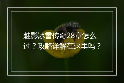 魅影冰雪传奇28章怎么过？攻略详解在这里吗？