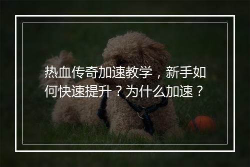 热血传奇加速教学，新手如何快速提升？为什么加速？