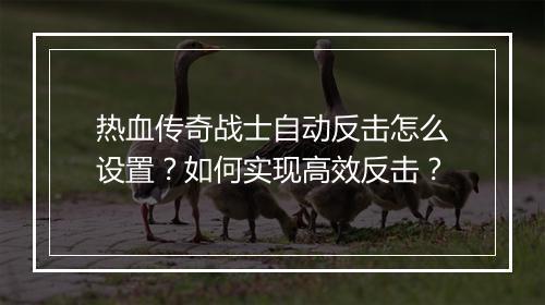 热血传奇战士自动反击怎么设置？如何实现高效反击？