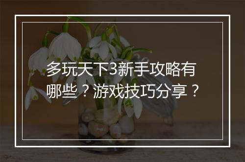 多玩天下3新手攻略有哪些？游戏技巧分享？