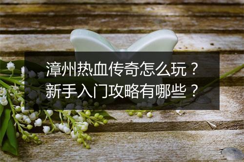 漳州热血传奇怎么玩？新手入门攻略有哪些？