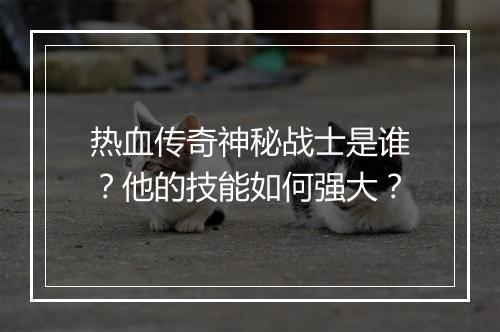 热血传奇神秘战士是谁？他的技能如何强大？