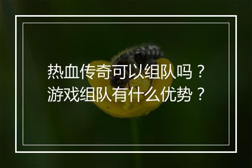 热血传奇可以组队吗？游戏组队有什么优势？
