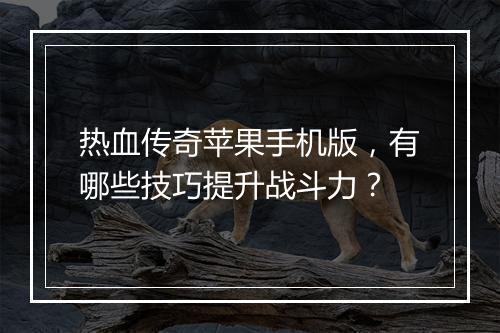 热血传奇苹果手机版，有哪些技巧提升战斗力？