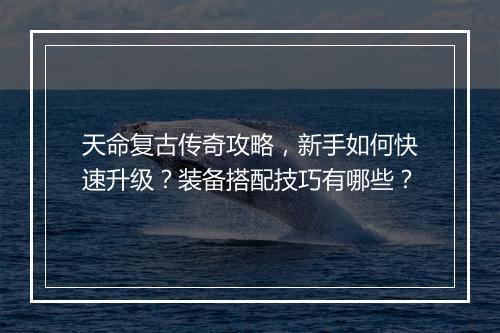 天命复古传奇攻略，新手如何快速升级？装备搭配技巧有哪些？