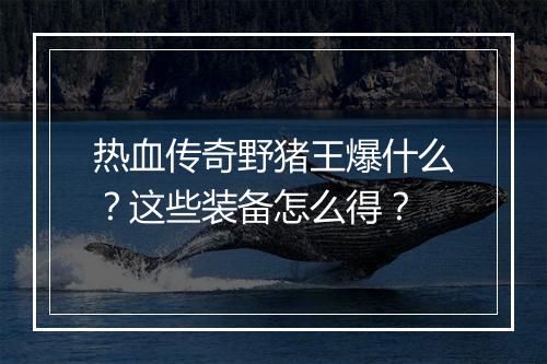 热血传奇野猪王爆什么？这些装备怎么得？