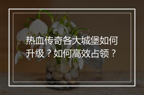 热血传奇各大城堡如何升级？如何高效占领？