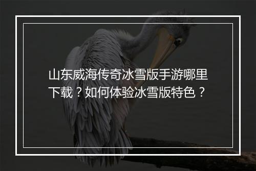 山东威海传奇冰雪版手游哪里下载？如何体验冰雪版特色？