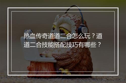 热血传奇道道二合怎么玩？道道二合技能搭配技巧有哪些？