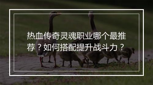 热血传奇灵魂职业哪个最推荐？如何搭配提升战斗力？
