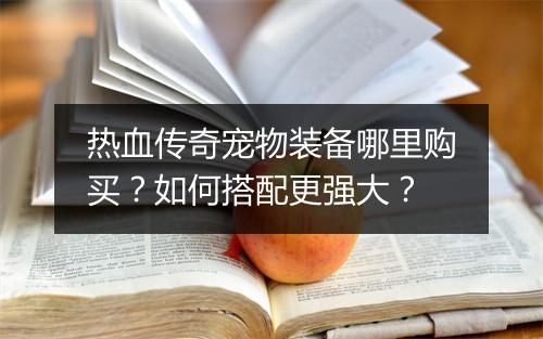 热血传奇宠物装备哪里购买？如何搭配更强大？