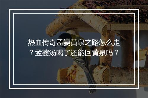 热血传奇孟婆黄泉之路怎么走？孟婆汤喝了还能回黄泉吗？