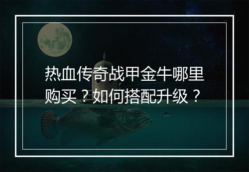 热血传奇战甲金牛哪里购买？如何搭配升级？