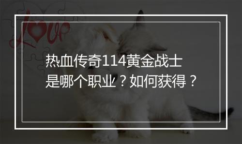 热血传奇114黄金战士是哪个职业？如何获得？