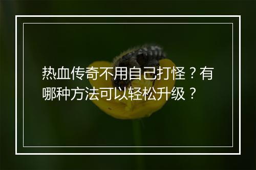 热血传奇不用自己打怪？有哪种方法可以轻松升级？
