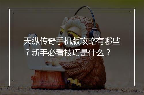 天纵传奇手机版攻略有哪些？新手必看技巧是什么？