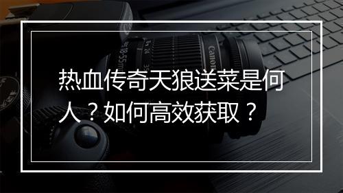 热血传奇天狼送菜是何人？如何高效获取？
