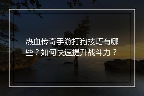 热血传奇手游打狗技巧有哪些？如何快速提升战斗力？