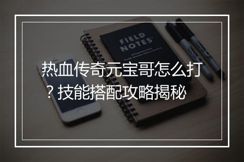 热血传奇元宝哥怎么打？技能搭配攻略揭秘