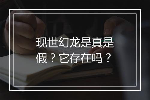 现世幻龙是真是假？它存在吗？