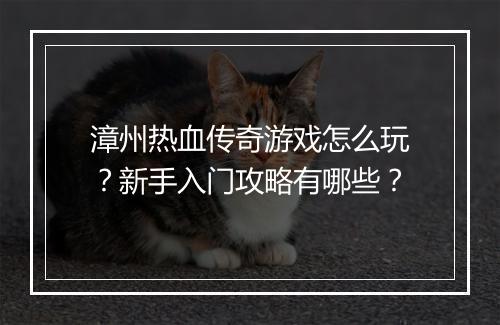 漳州热血传奇游戏怎么玩？新手入门攻略有哪些？