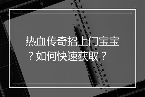 热血传奇招上门宝宝？如何快速获取？
