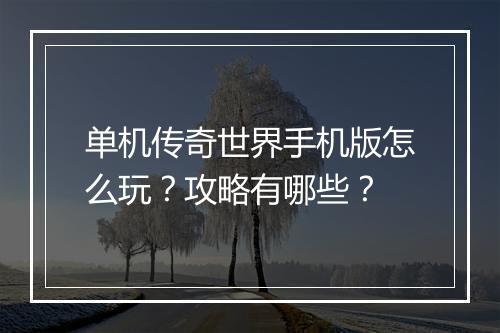 单机传奇世界手机版怎么玩？攻略有哪些？