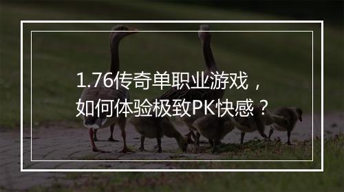 1.76传奇单职业游戏，如何体验极致PK快感？
