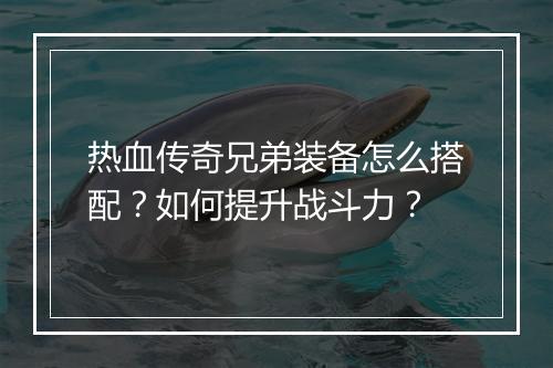 热血传奇兄弟装备怎么搭配？如何提升战斗力？