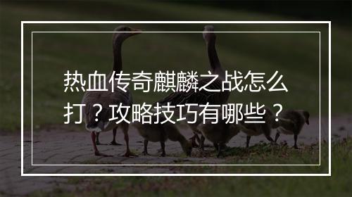 热血传奇麒麟之战怎么打？攻略技巧有哪些？