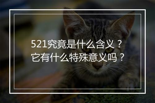 521究竟是什么含义？它有什么特殊意义吗？