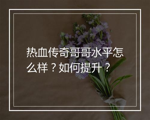 热血传奇哥哥水平怎么样？如何提升？