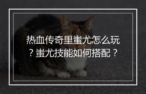 热血传奇里蚩尤怎么玩？蚩尤技能如何搭配？