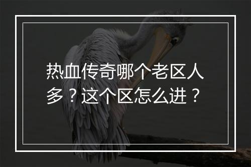 热血传奇哪个老区人多？这个区怎么进？
