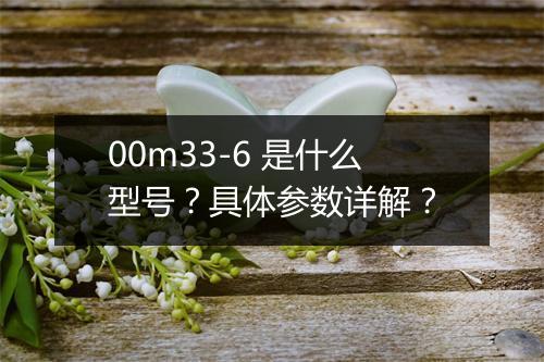 00m33-6 是什么型号？具体参数详解？