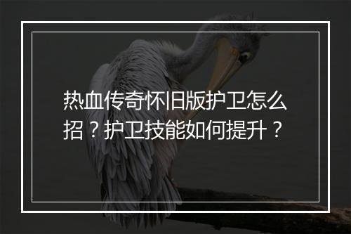 热血传奇怀旧版护卫怎么招？护卫技能如何提升？