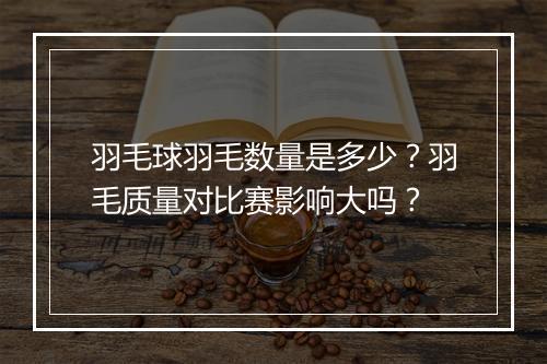 羽毛球羽毛数量是多少？羽毛质量对比赛影响大吗？