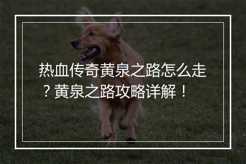 热血传奇黄泉之路怎么走？黄泉之路攻略详解！