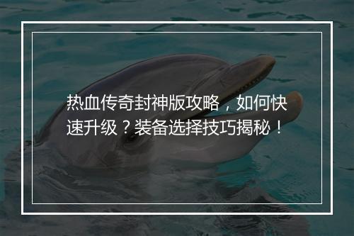 热血传奇封神版攻略，如何快速升级？装备选择技巧揭秘！