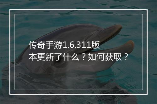 传奇手游1.6.311版本更新了什么？如何获取？